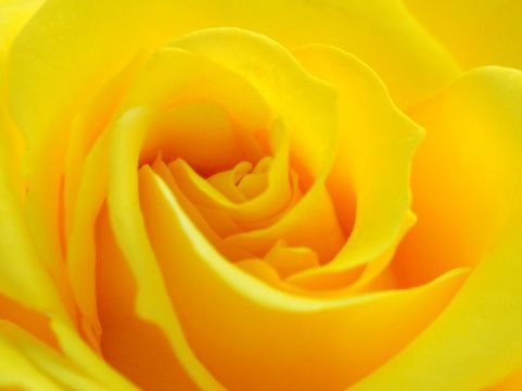 父の日 のディスプレイ 店舗装飾 飾り付けヒント コツ 福岡 店舗ディスプレイ装飾 販促企画 デザイン制作 有限会社次元クリエイト